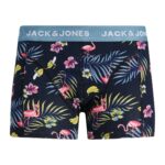 jj__3679573__front1